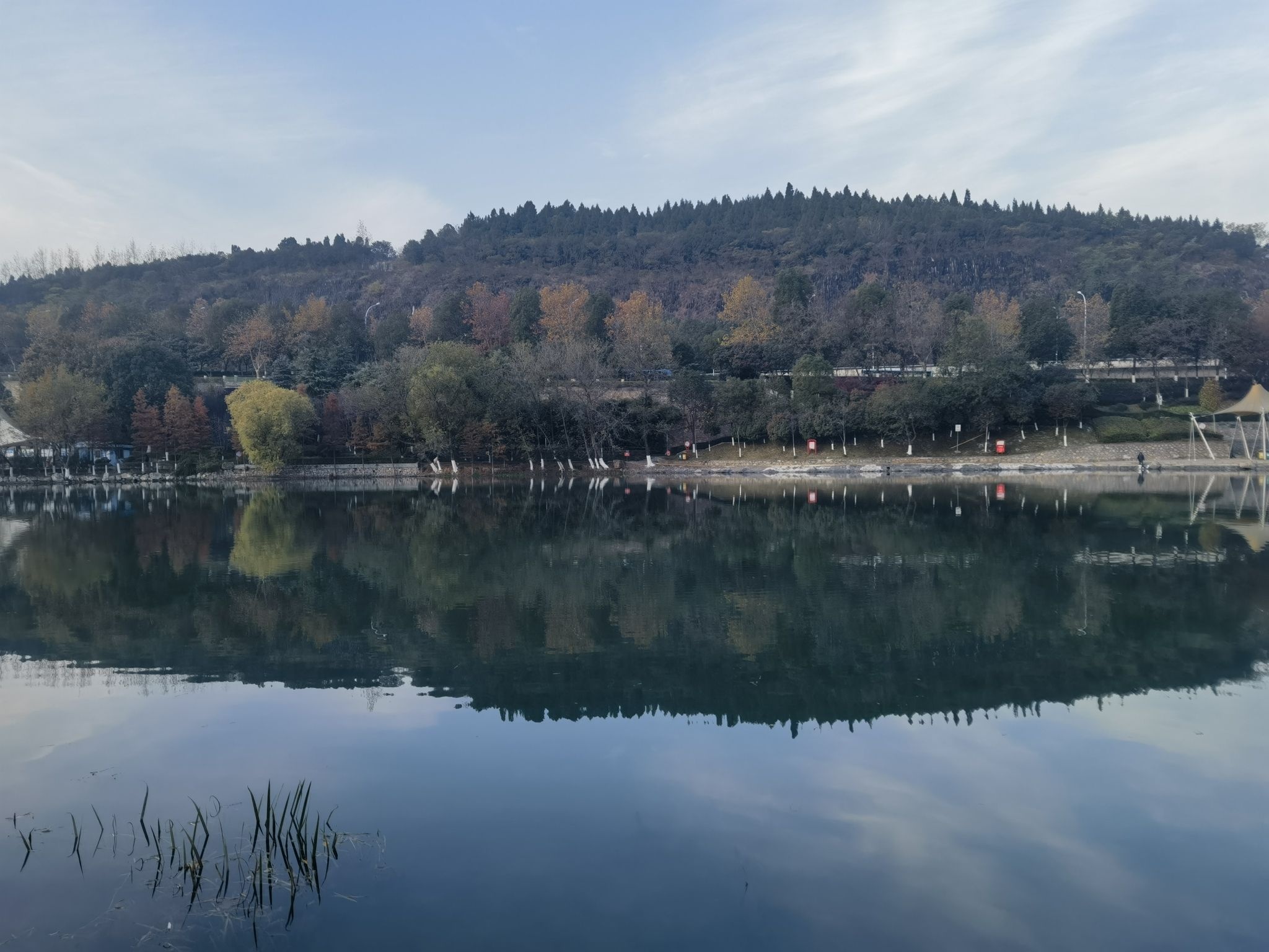 天鹅湖公园