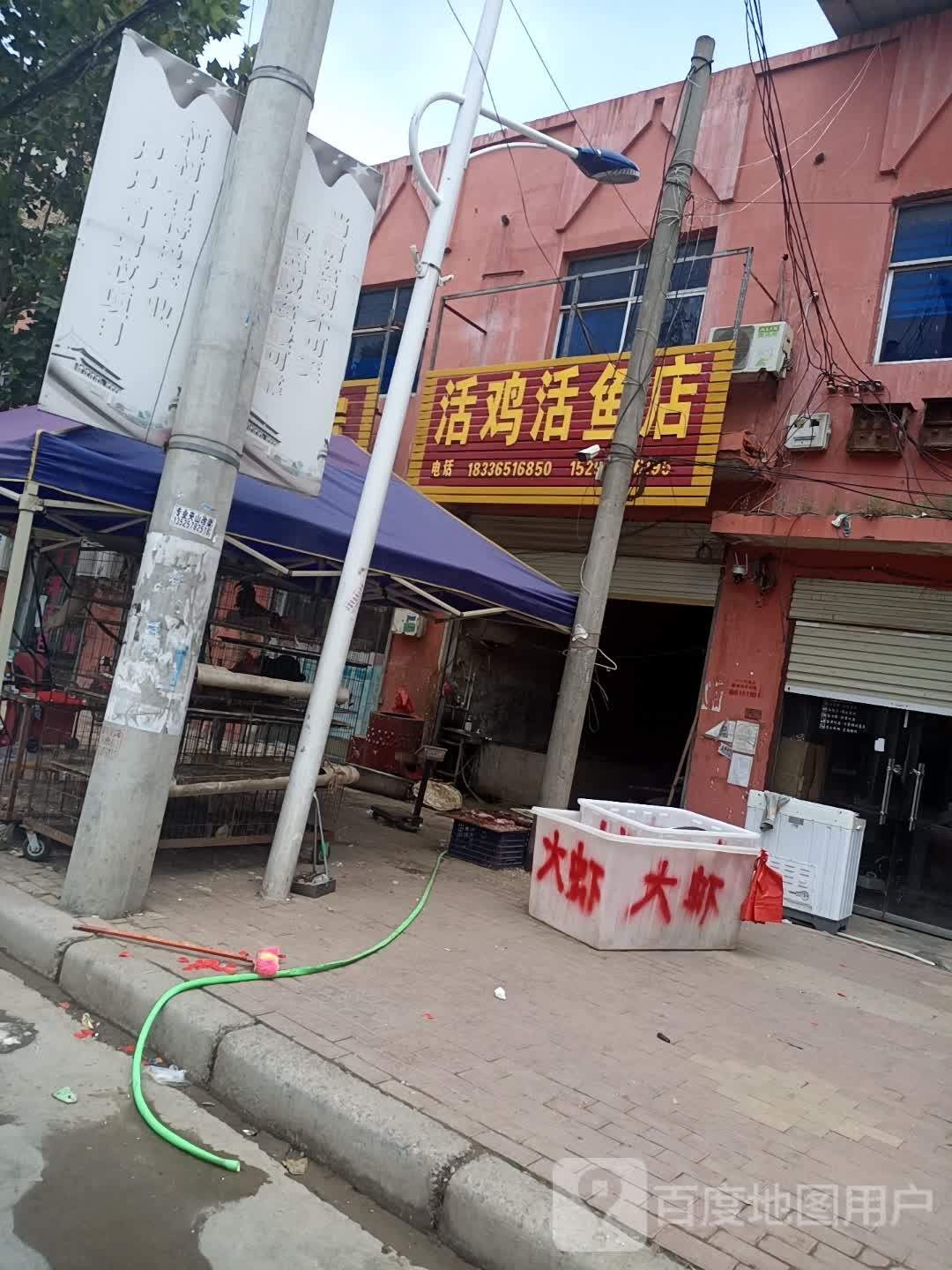 太康县大许寨镇活鸡活鱼店(昌盛大道店)