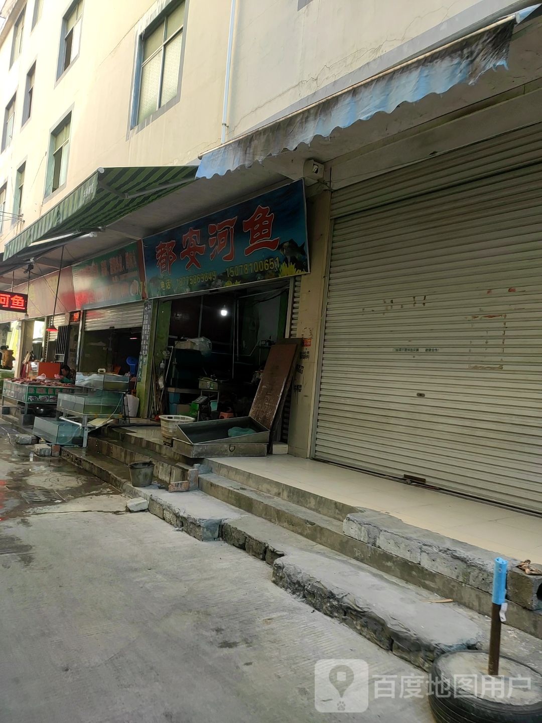 都安河鱼