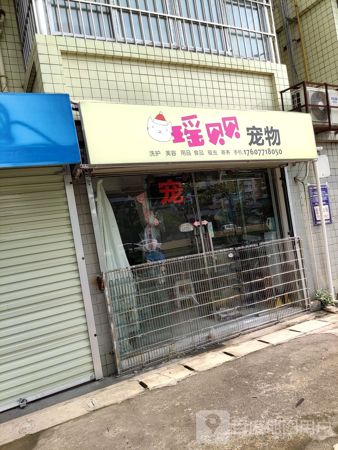 瑶贝贝宠物