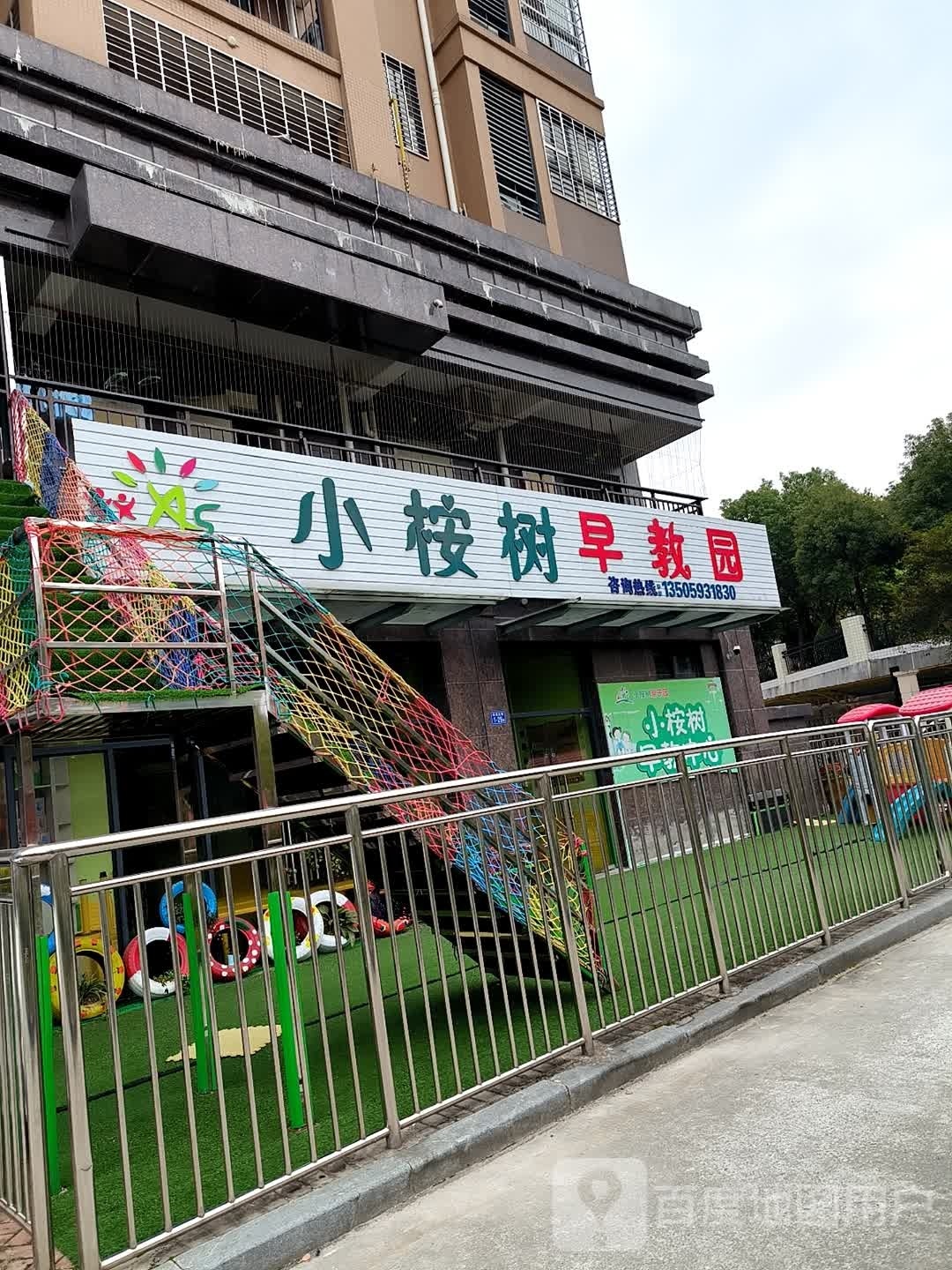 小桉树早教中