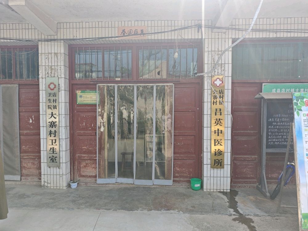 店村镇大寨村吕英中医诊所