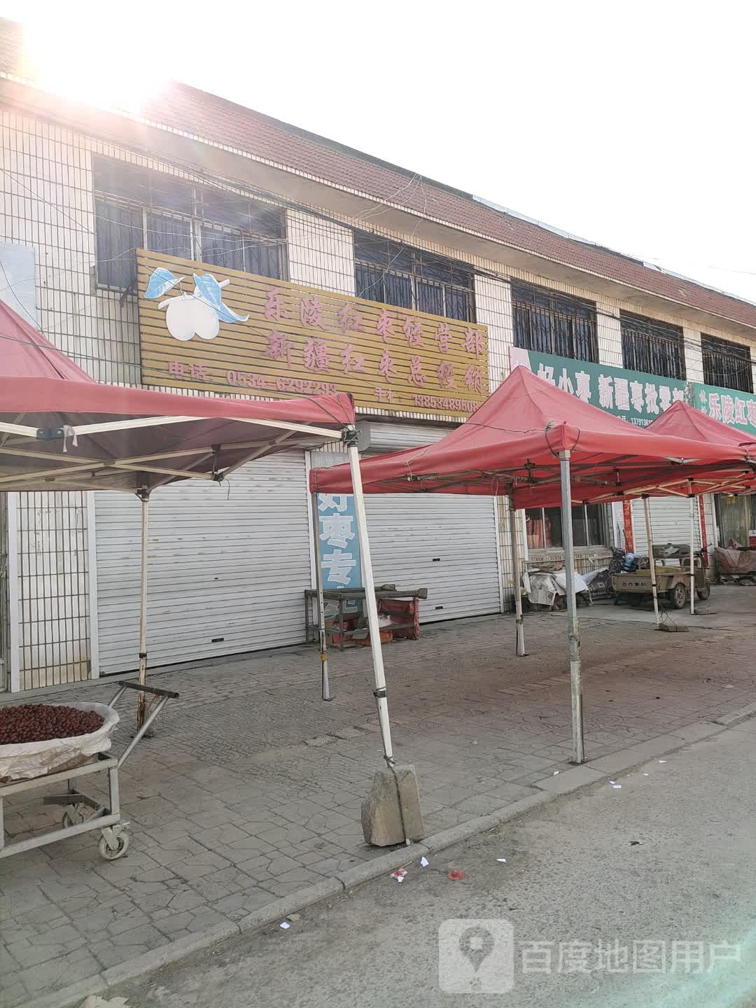 越兴乐陵鲜小枣冬枣