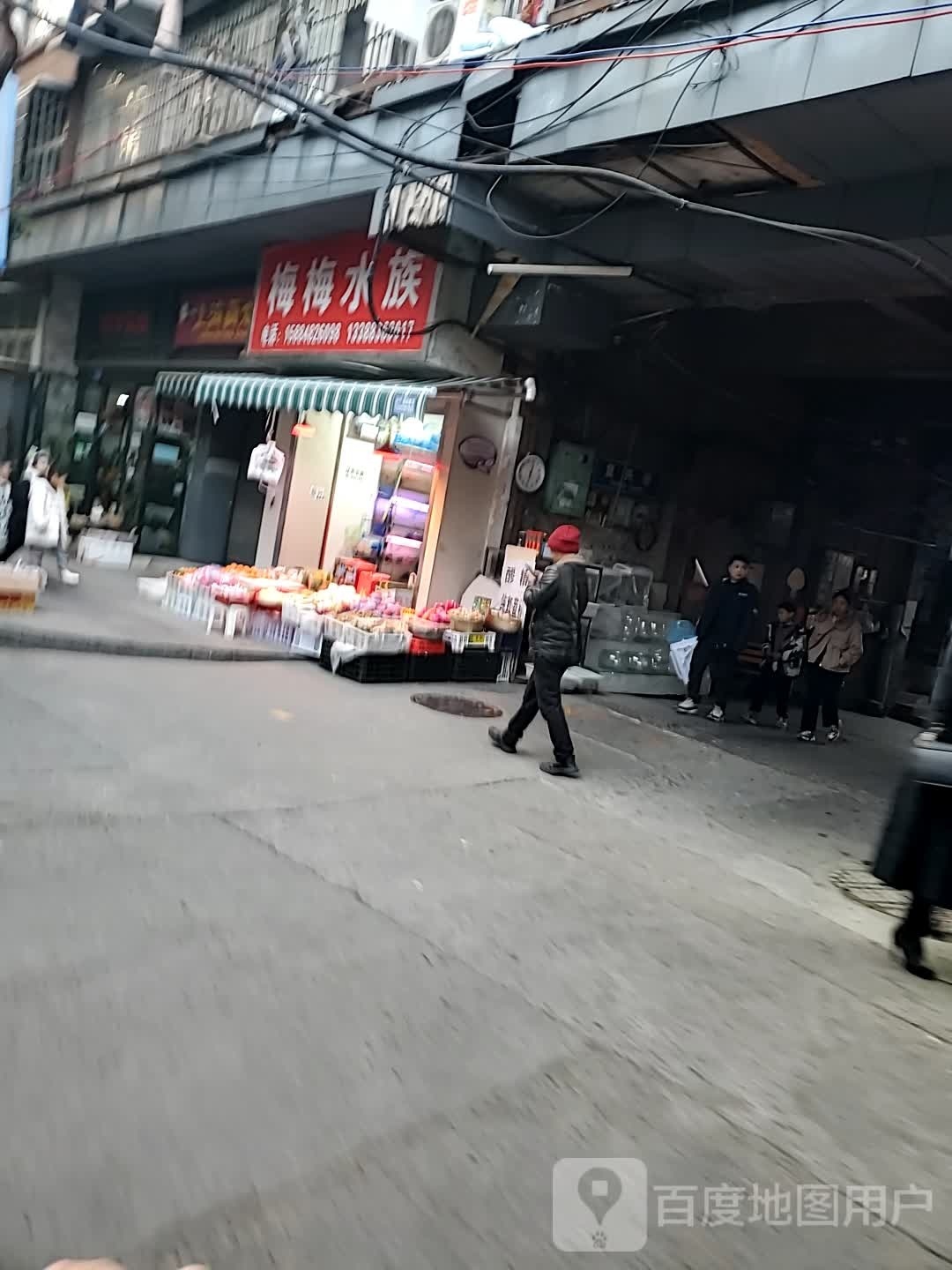 梅梅水族