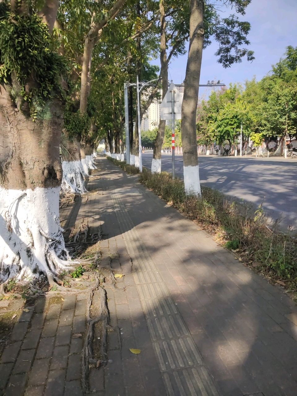 云城街河滨公园碧道