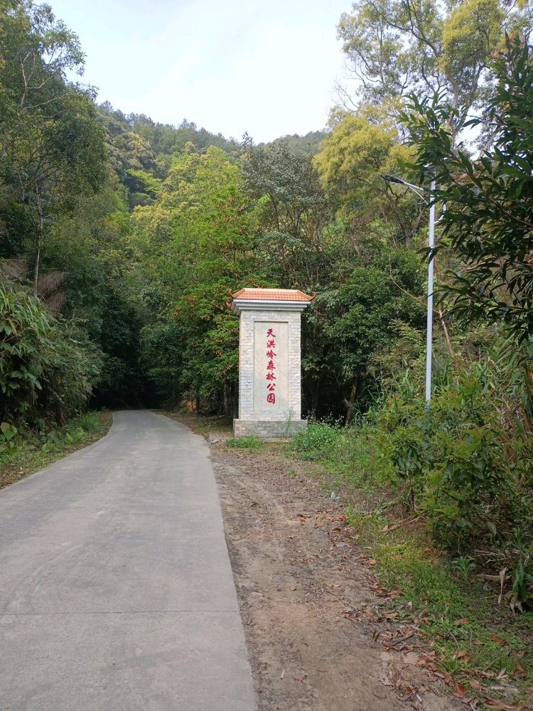 天洪岭森林公园