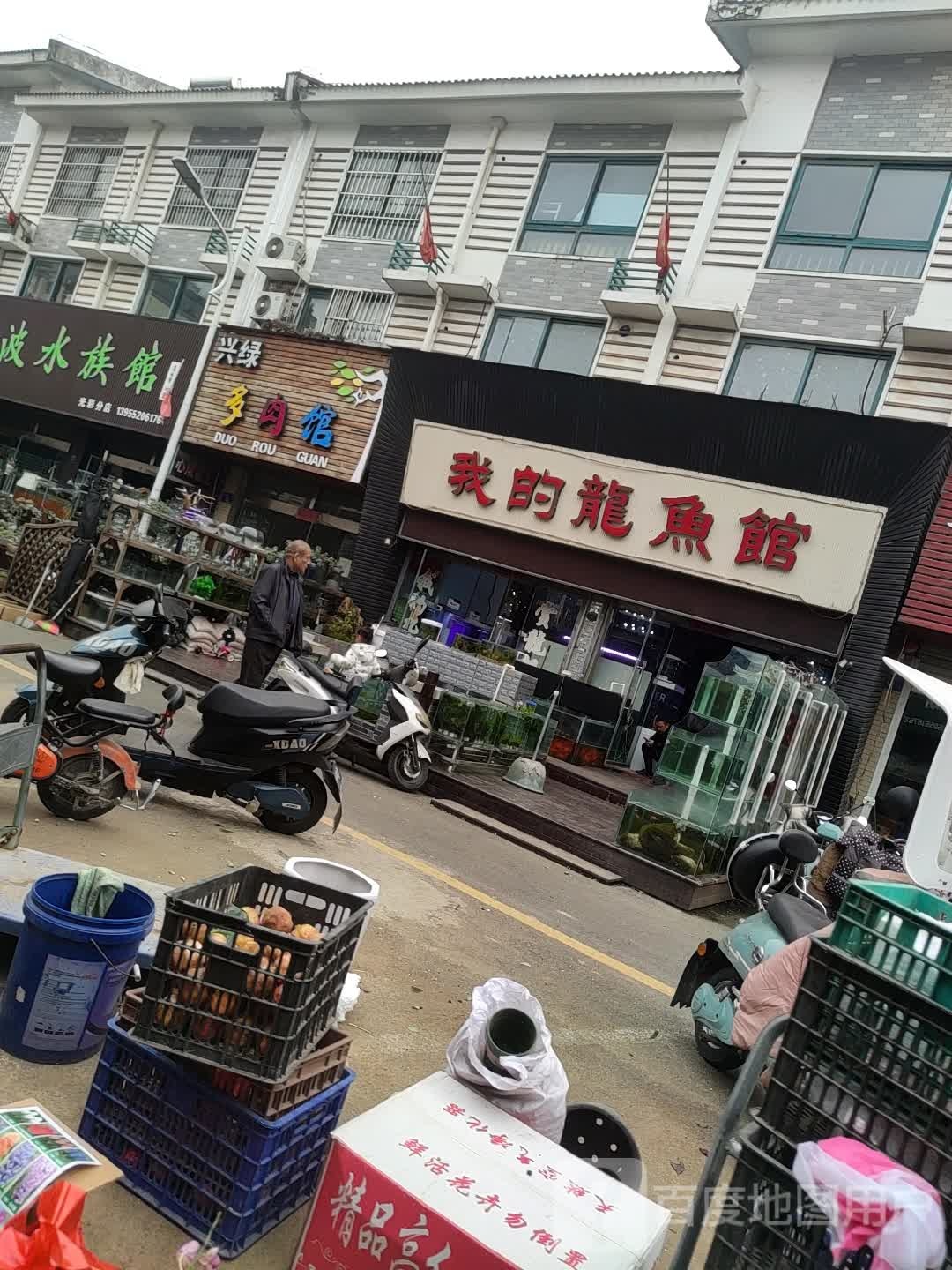 我的龙鱼馆