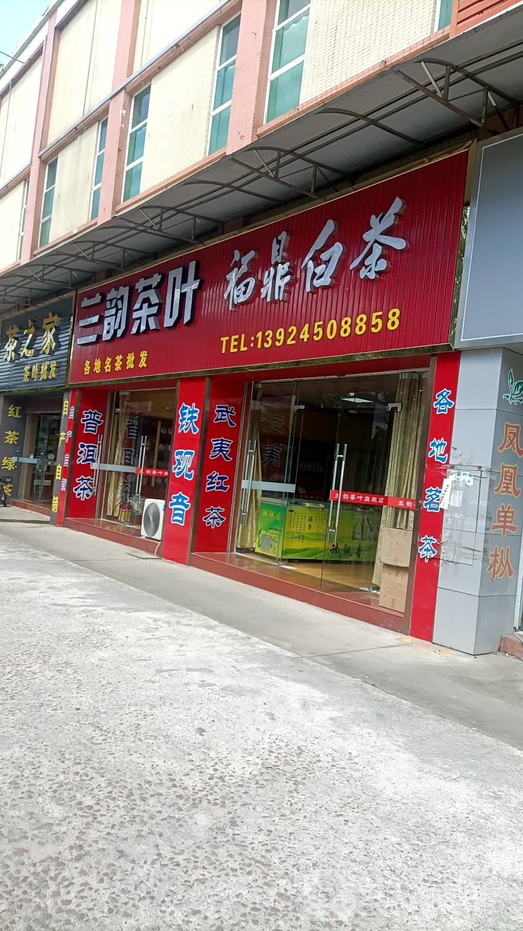 福鼎老白茶(海都茶行)