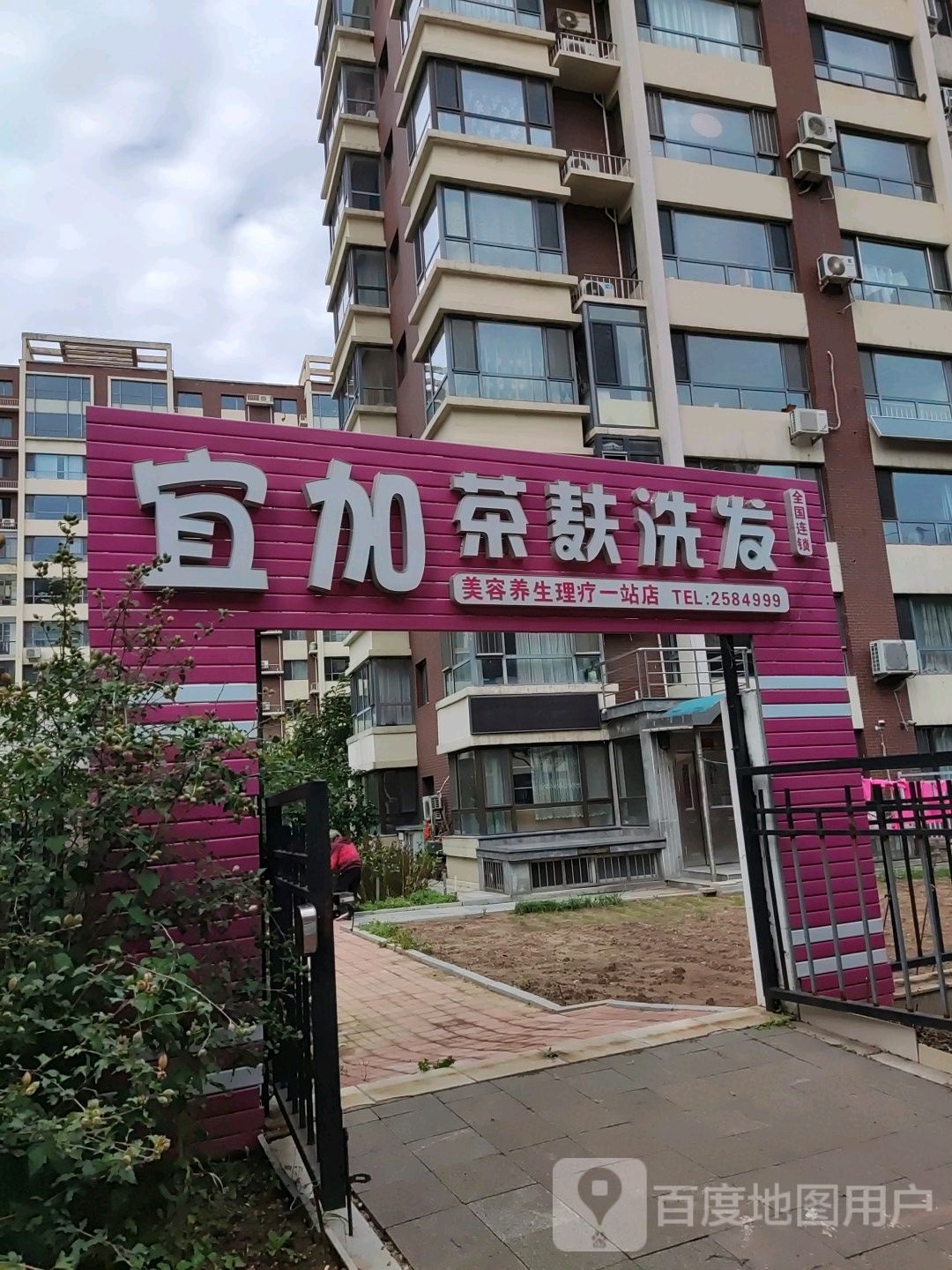 宜加茶麸洗发