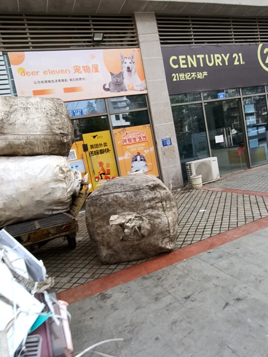 deer eleven宠物屋