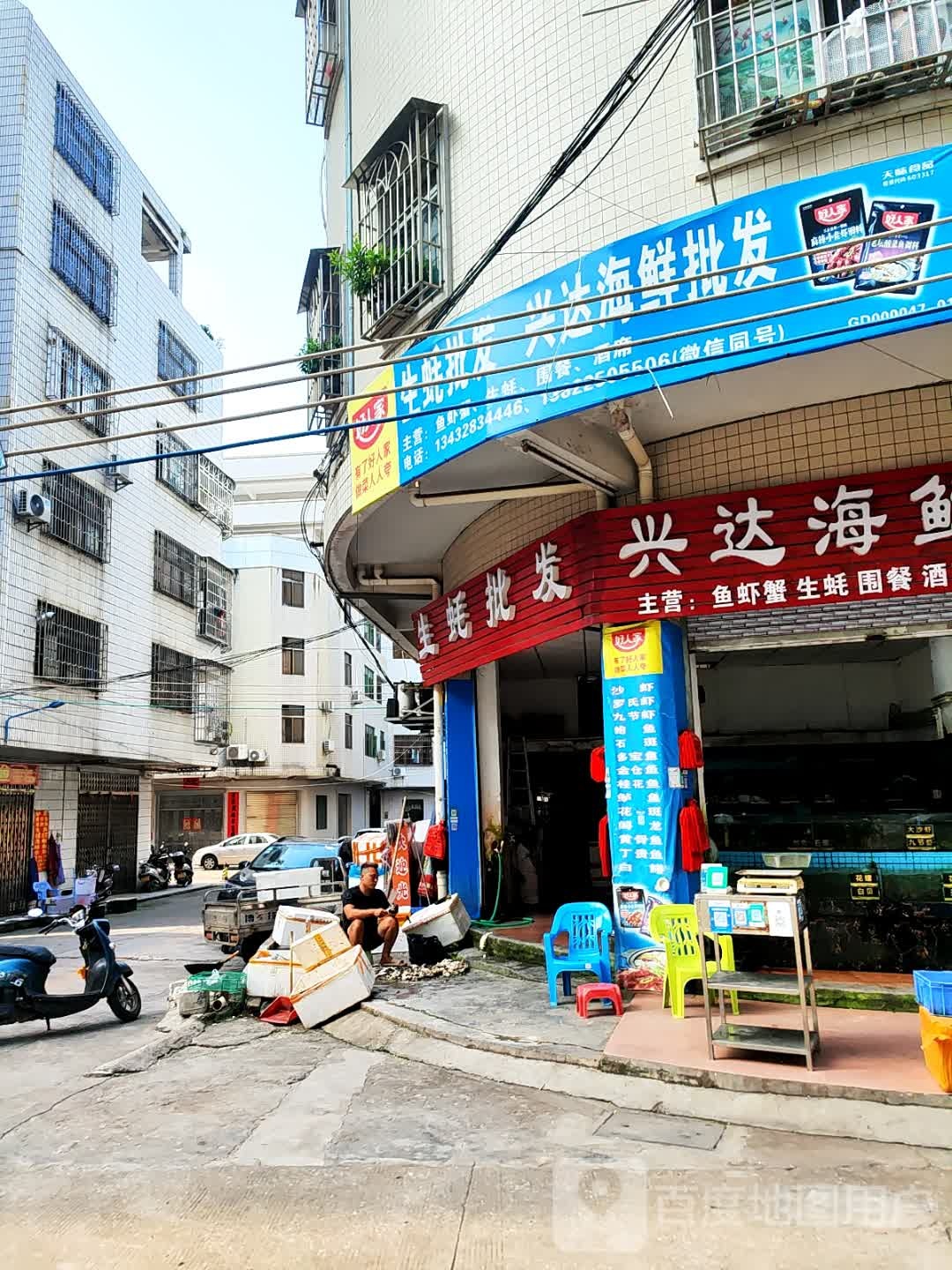 生蚝批发