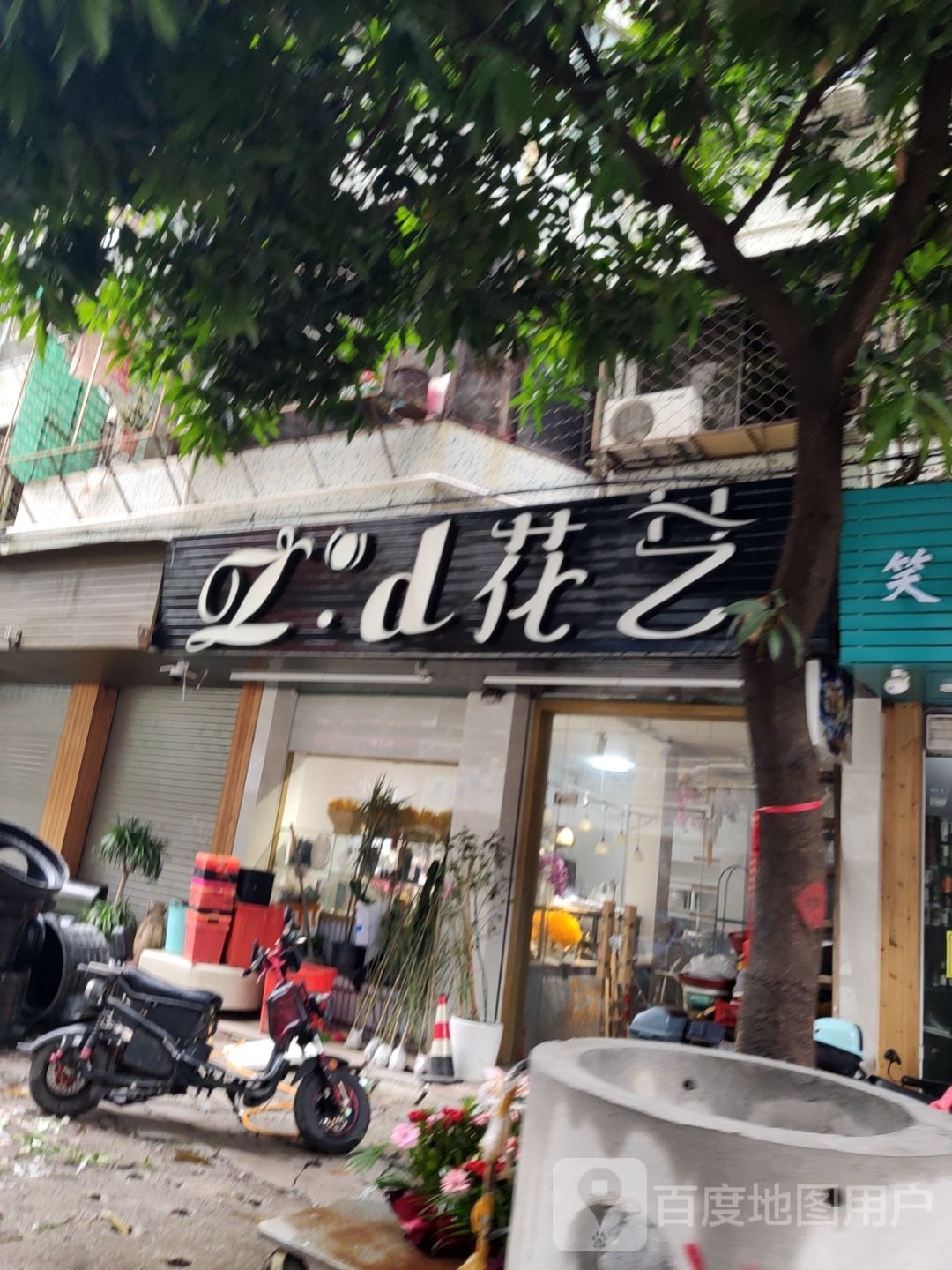 ZD花一