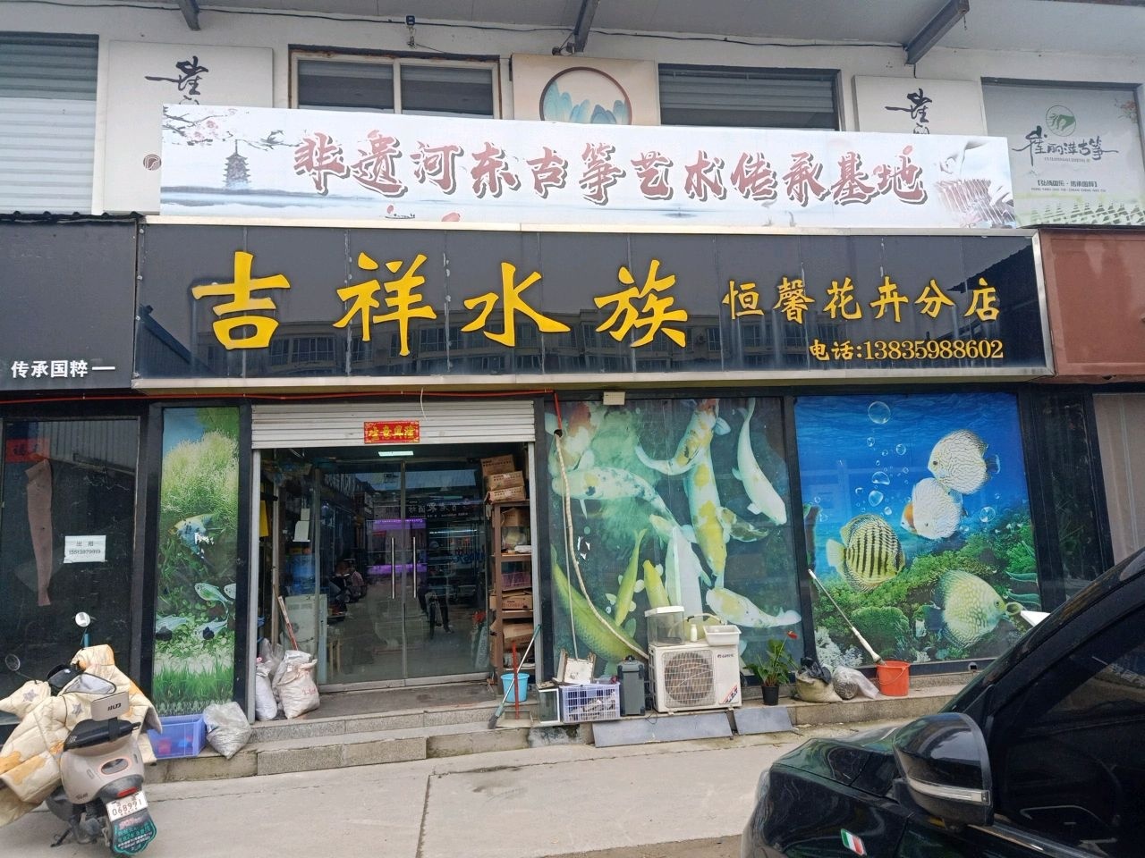 吉祥水族(恒馨花卉分店)