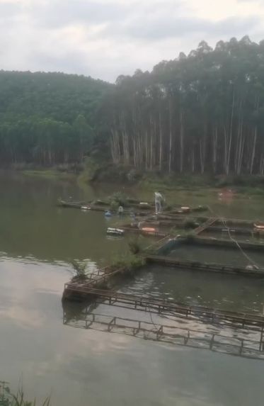 南宁凤亭龙王观光农业专业合作社钓鱼场