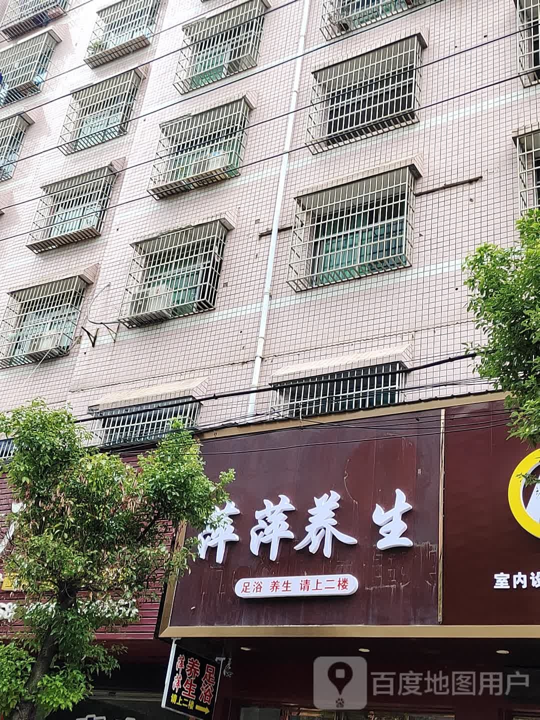 萍萍养生