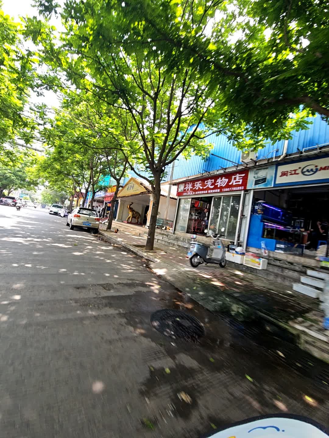 祥乐宠物店