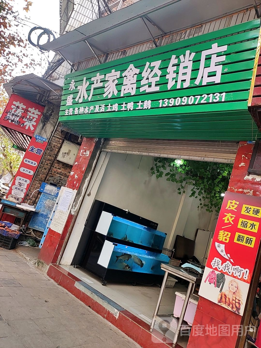 西充永盛水产家禽经销店