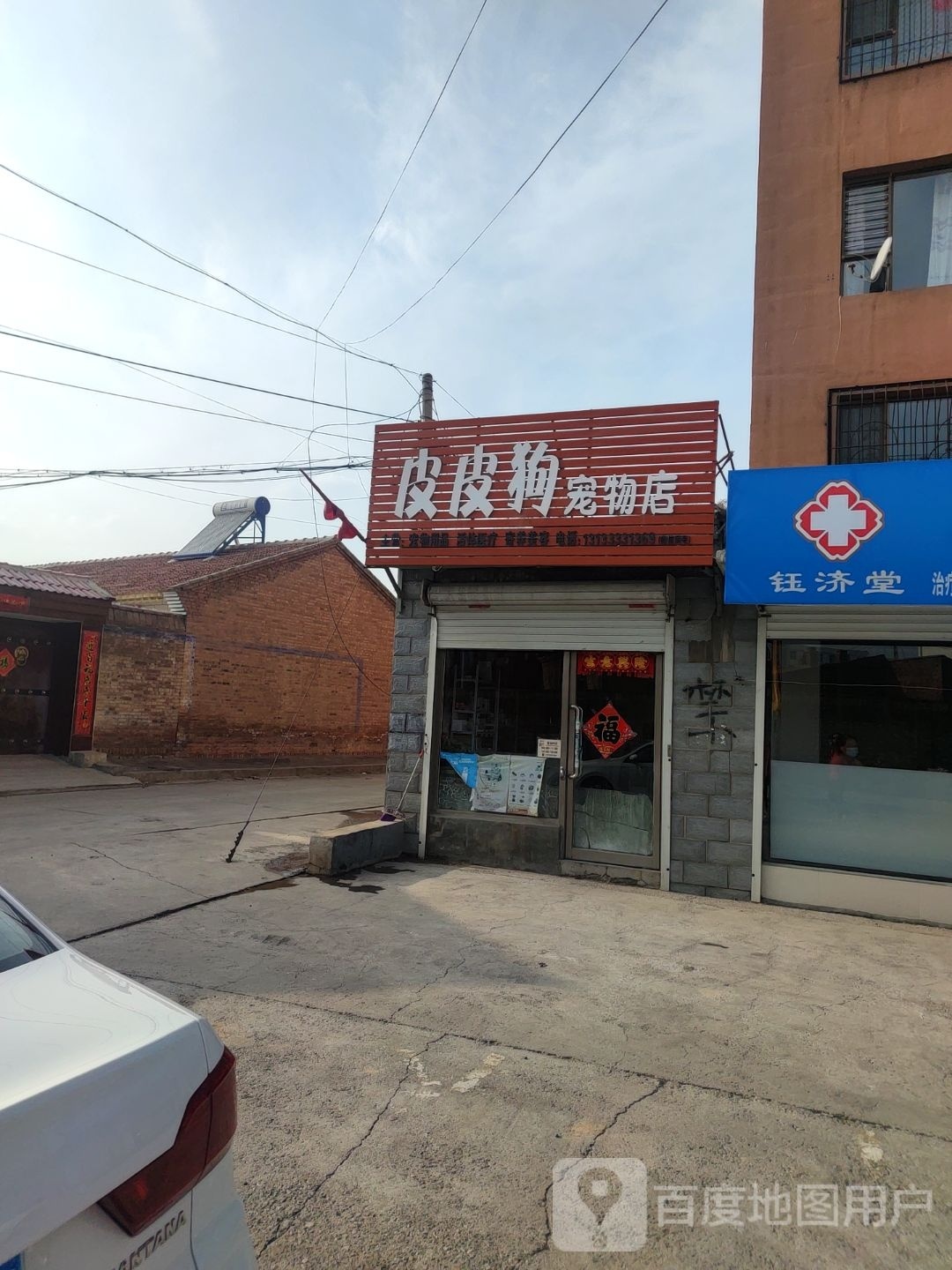 皮皮狗宠物店(巍巍店)