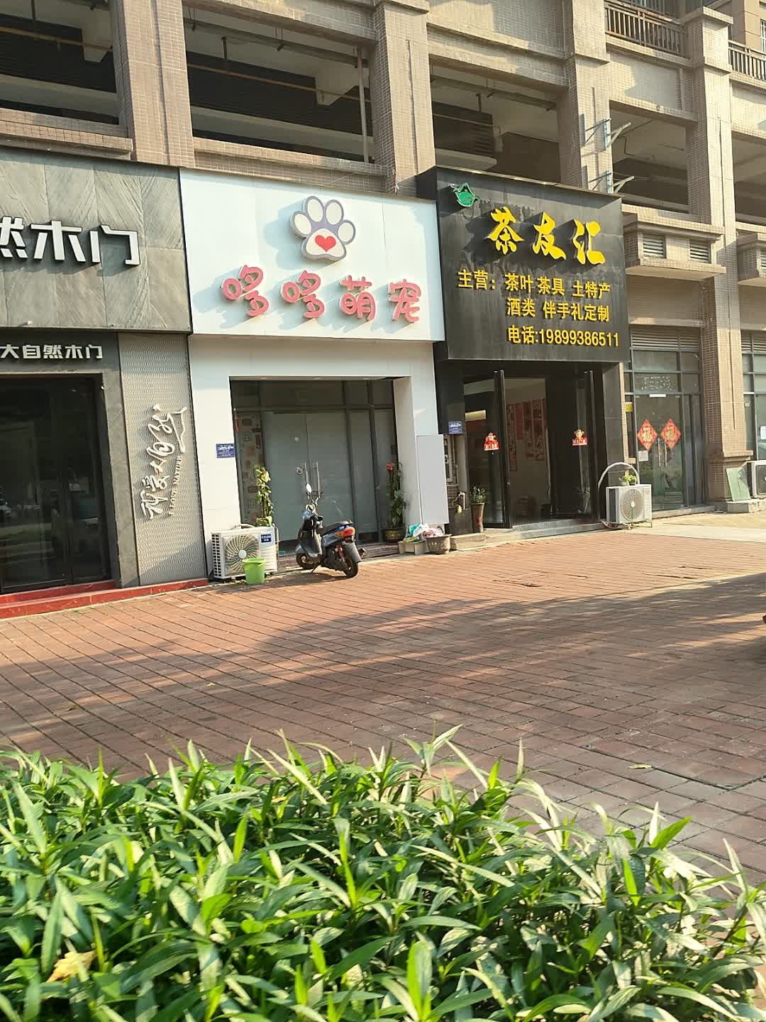 茶友汇