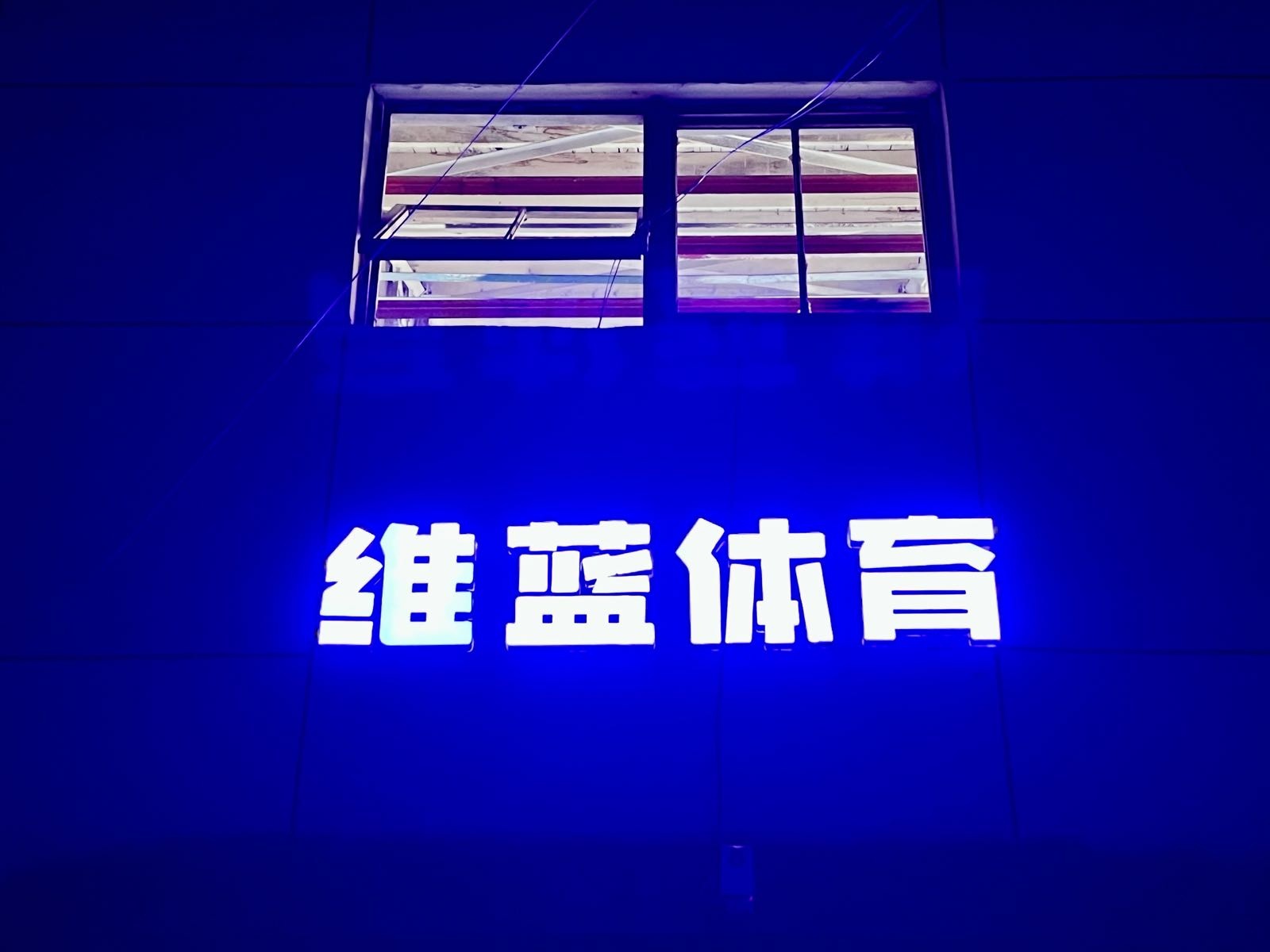 维蓝体育篮球训练营