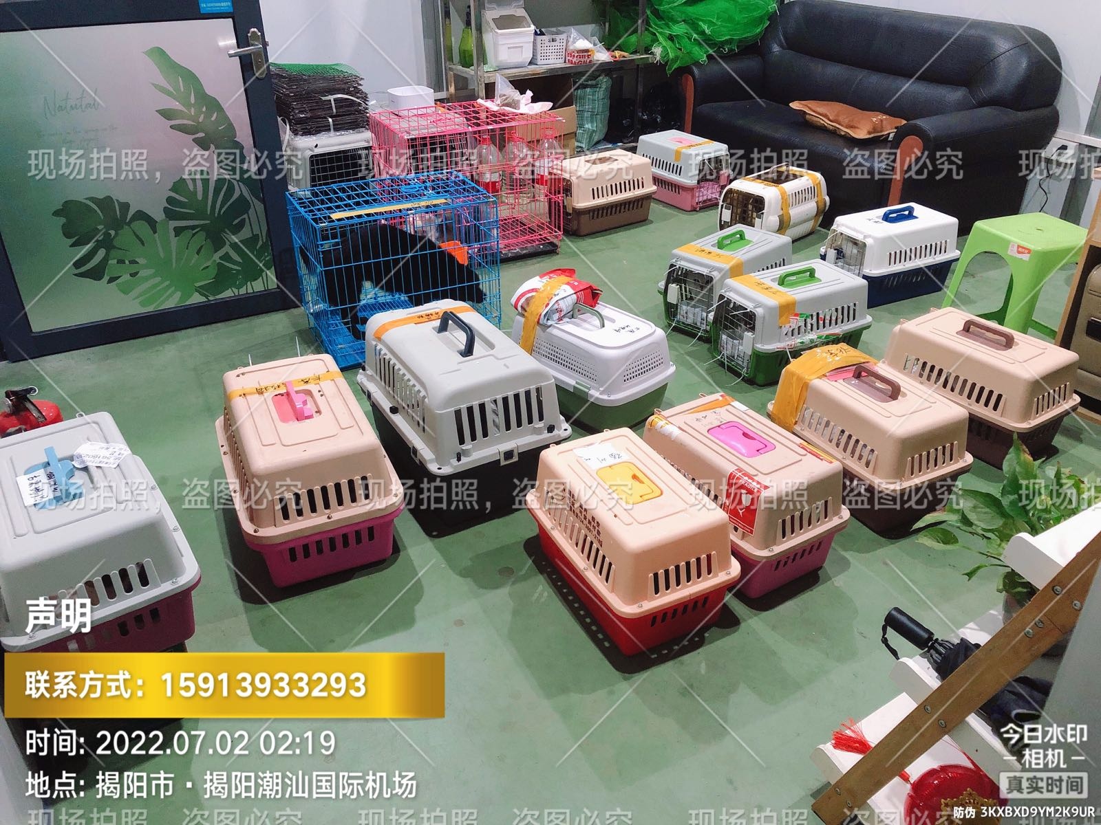 潮汕宠乐游(揭阳机场宠物托运处)