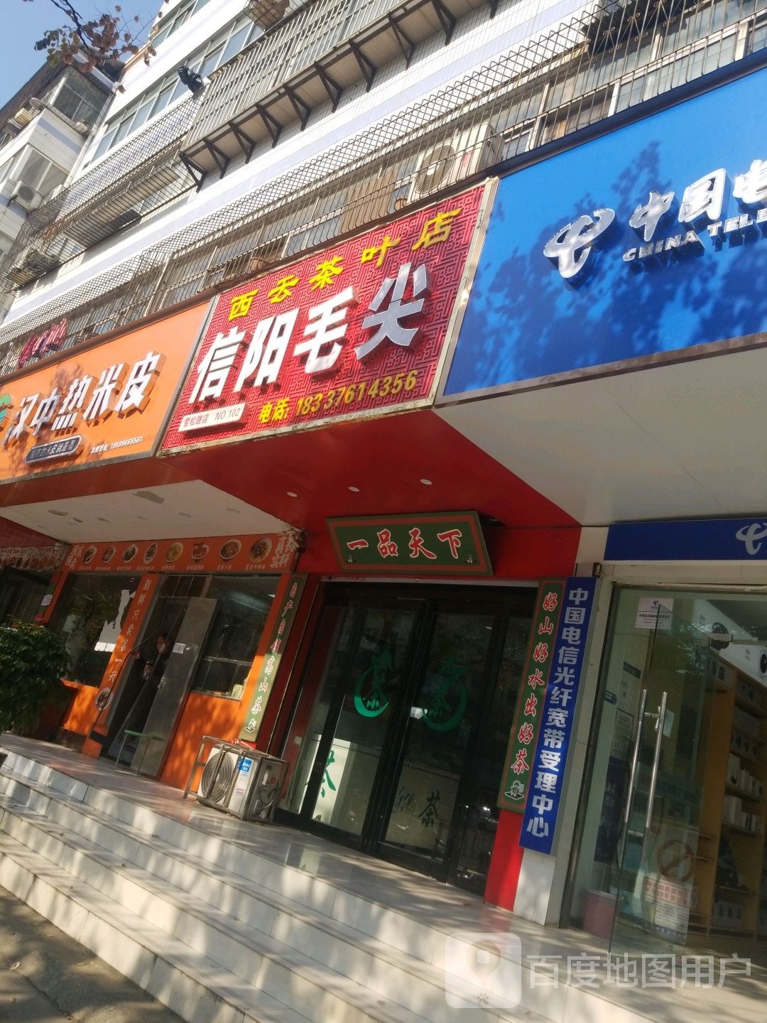 信阳毛尖(雪松路店)