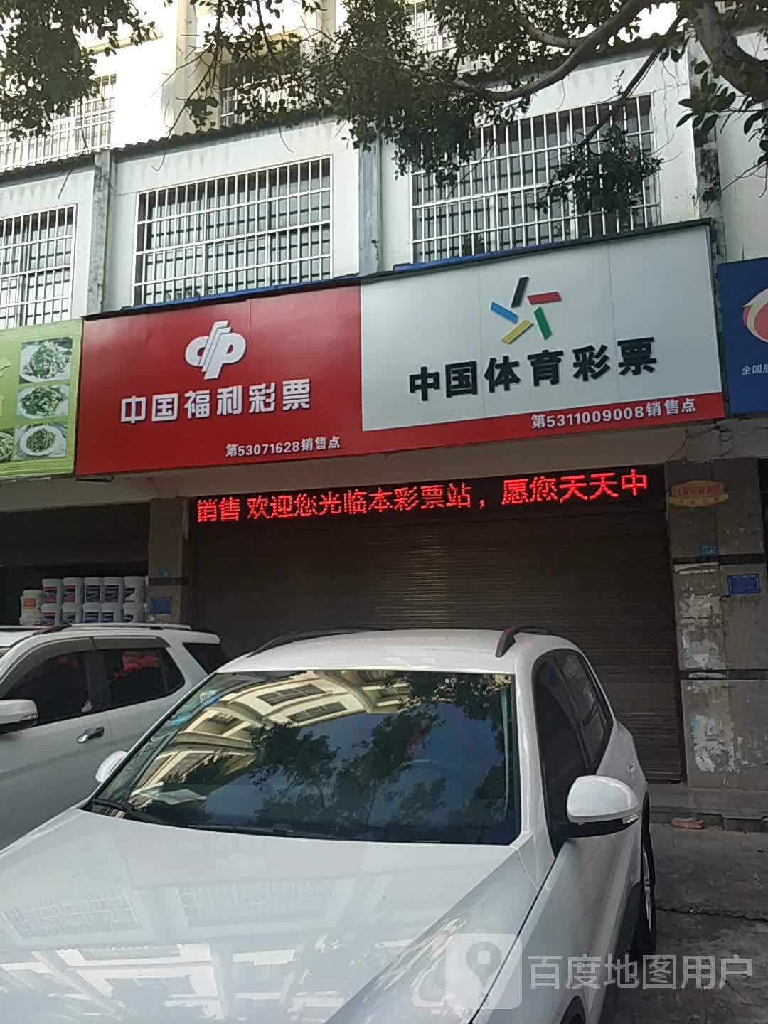 中国福利彩票(泰康东路店)