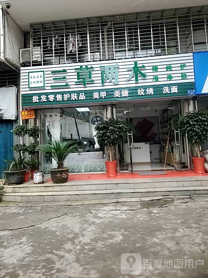 草堂两木(南门塔店)