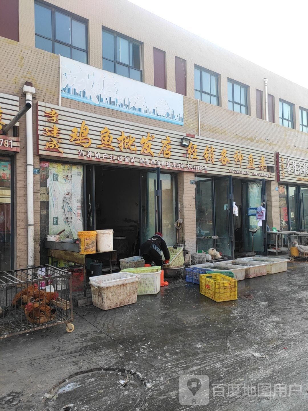 汪兴全鸡鱼海鲜批发店