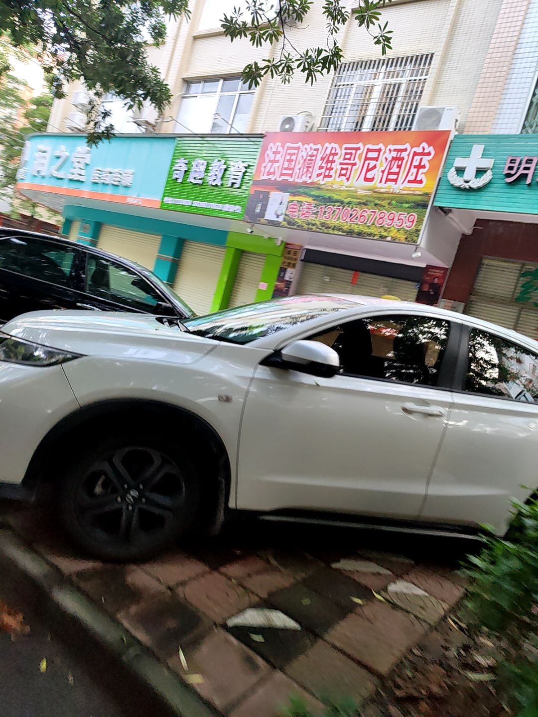 法国澜维哥尼酒庄