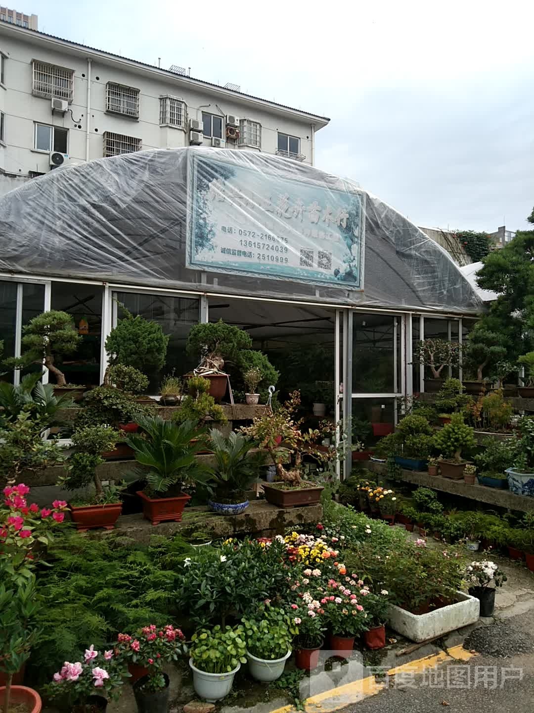 绍兴小王花卉苗木行