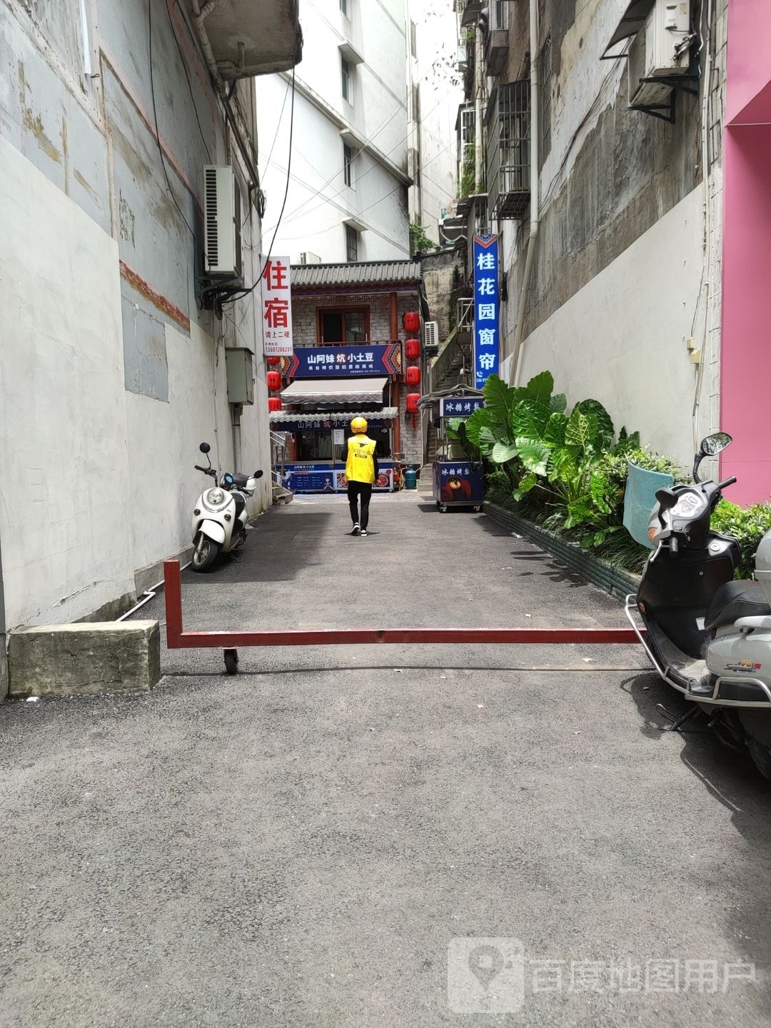 山阿妹炕小土豆