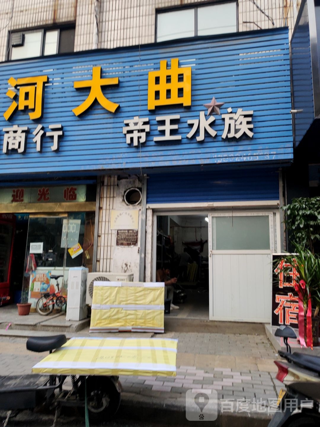 帝旺水族(和平路店)