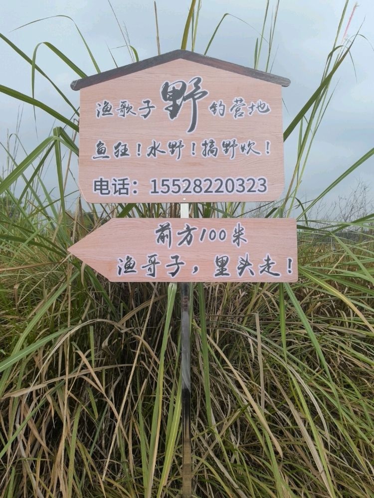 渔歌子野钓营地