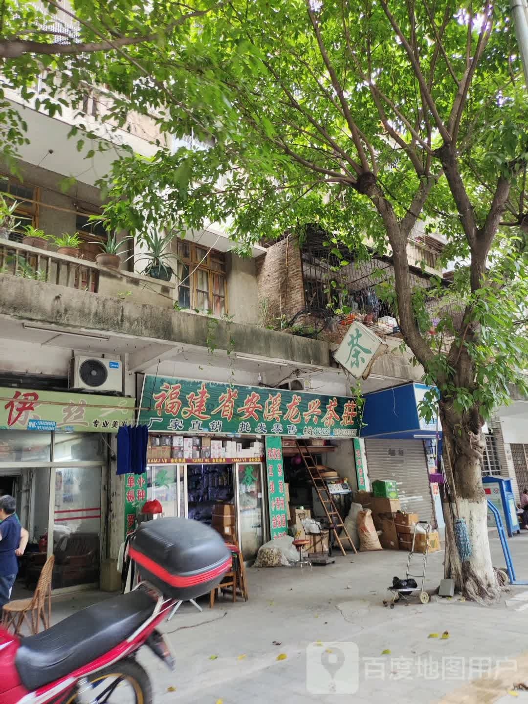 福建龙兴茶厂
