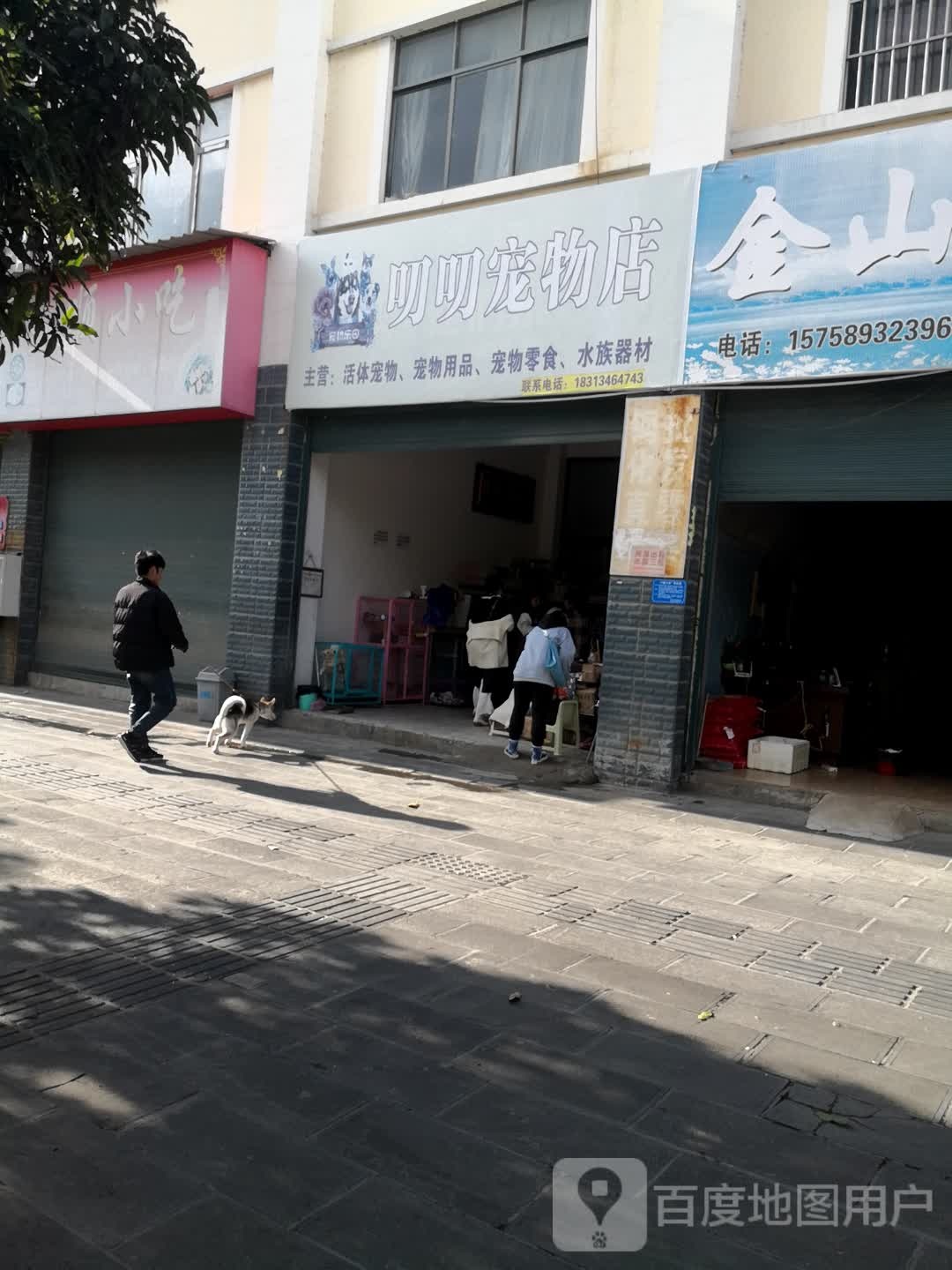 叨叨宠物店