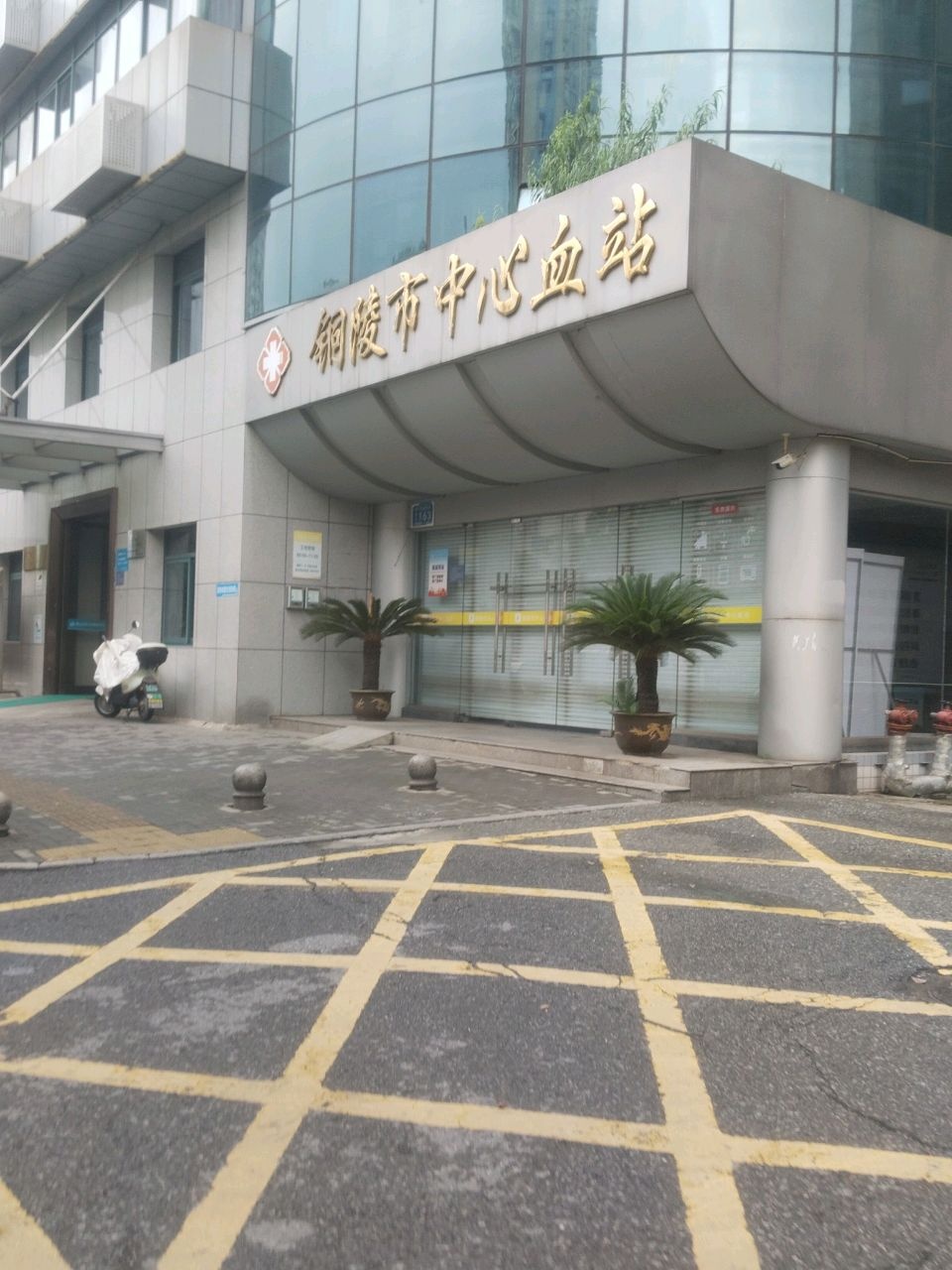 铜陵市中心血站