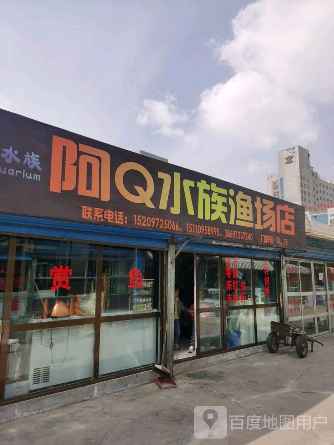 阿Q水族渔场店