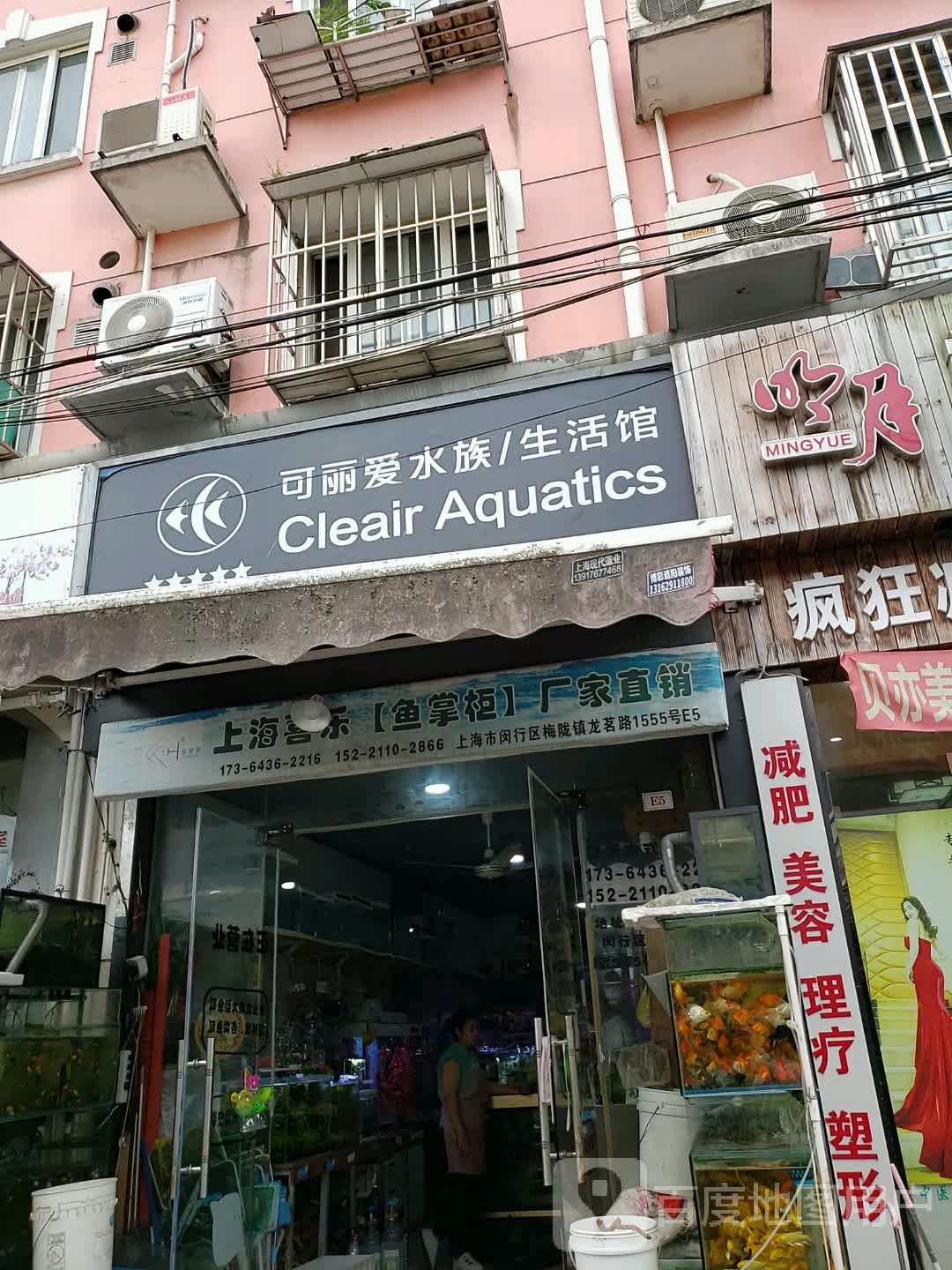 可怜爱水族生活馆(闵行店)