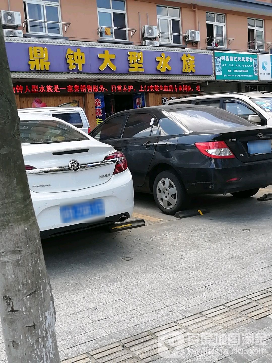 鼎钟大型水景(天胜店)