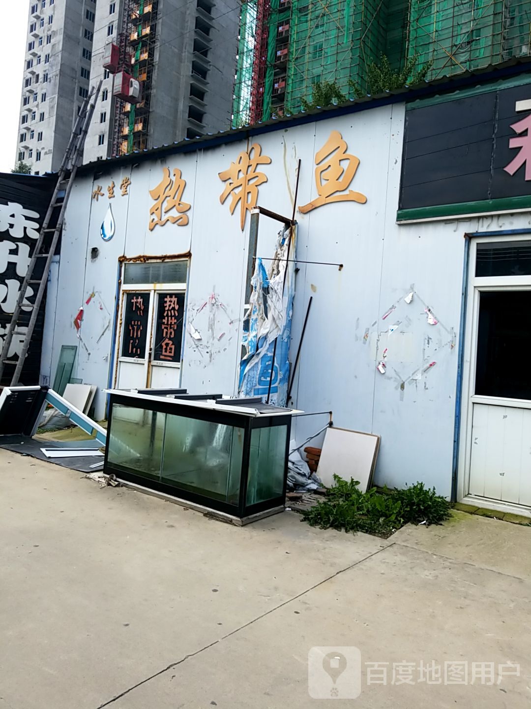 水生堂卖热带鱼