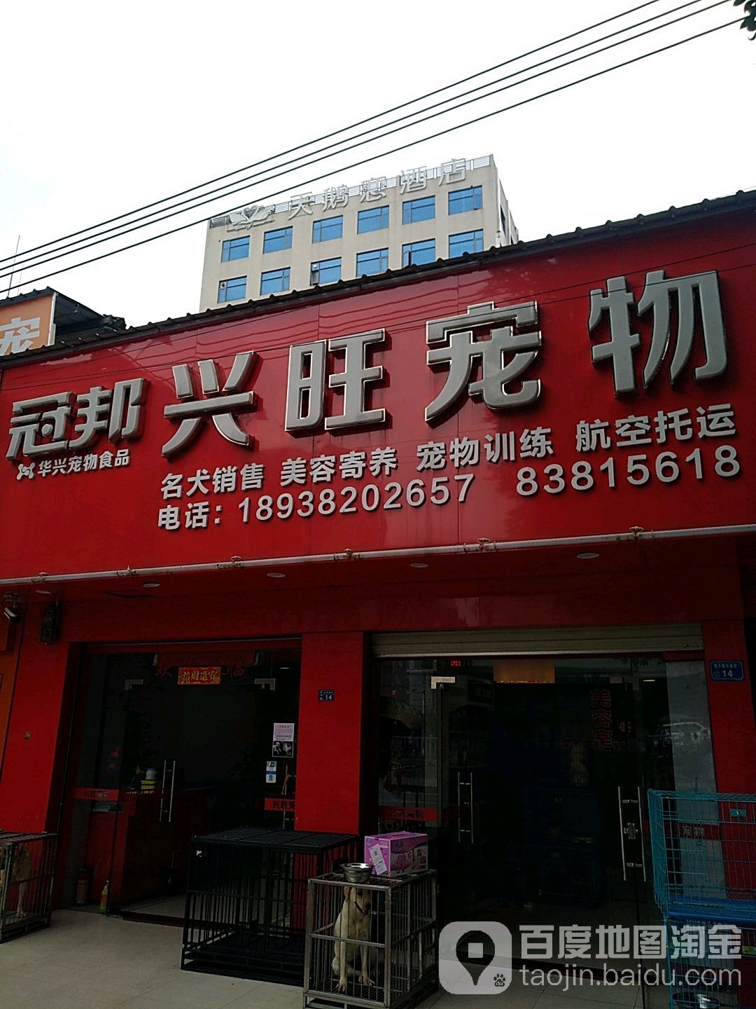 冠邦兴旺宠物(常平店)