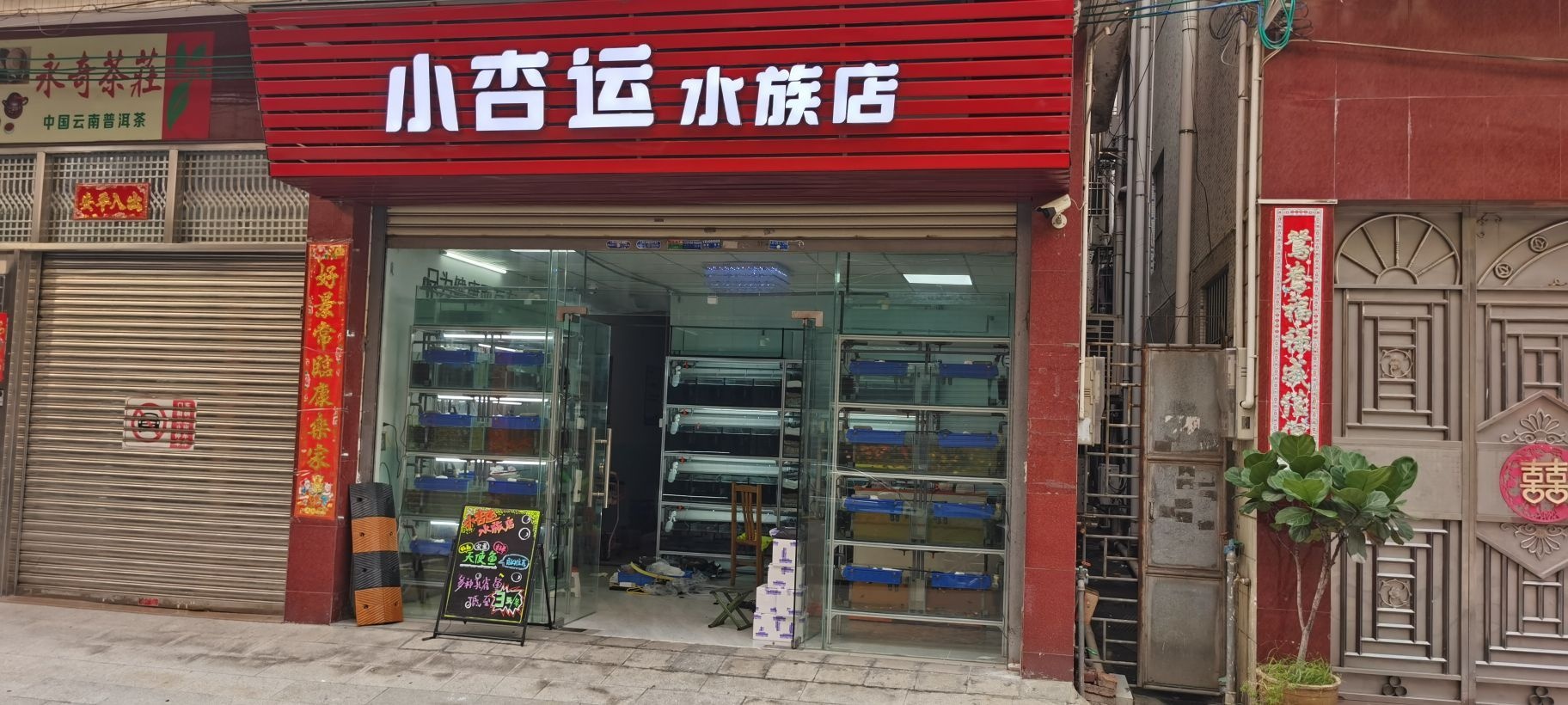小杏运水族店