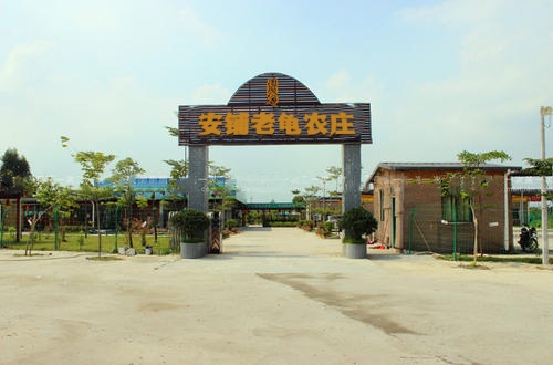 安铺老龟农庄