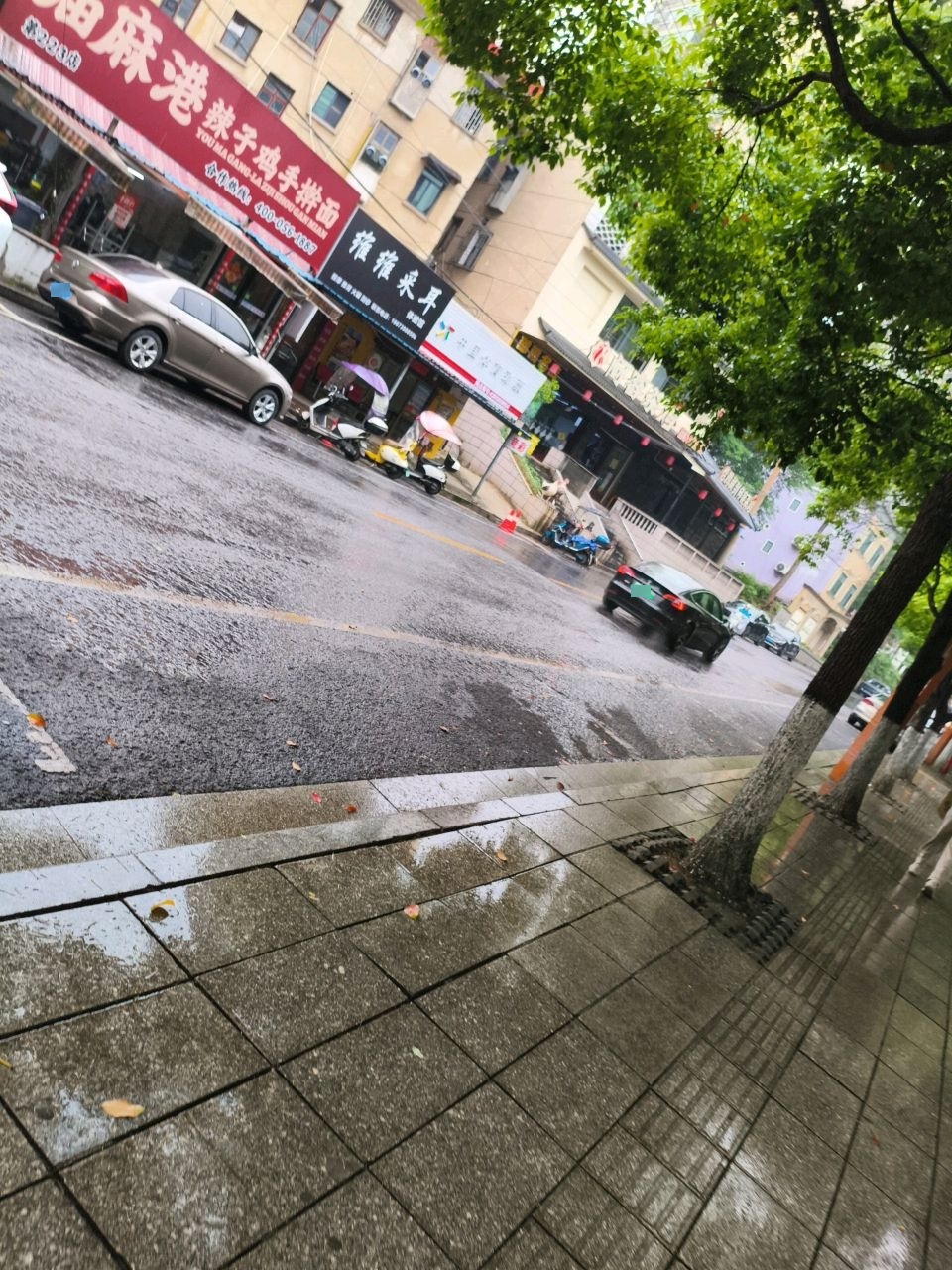 维维采耳