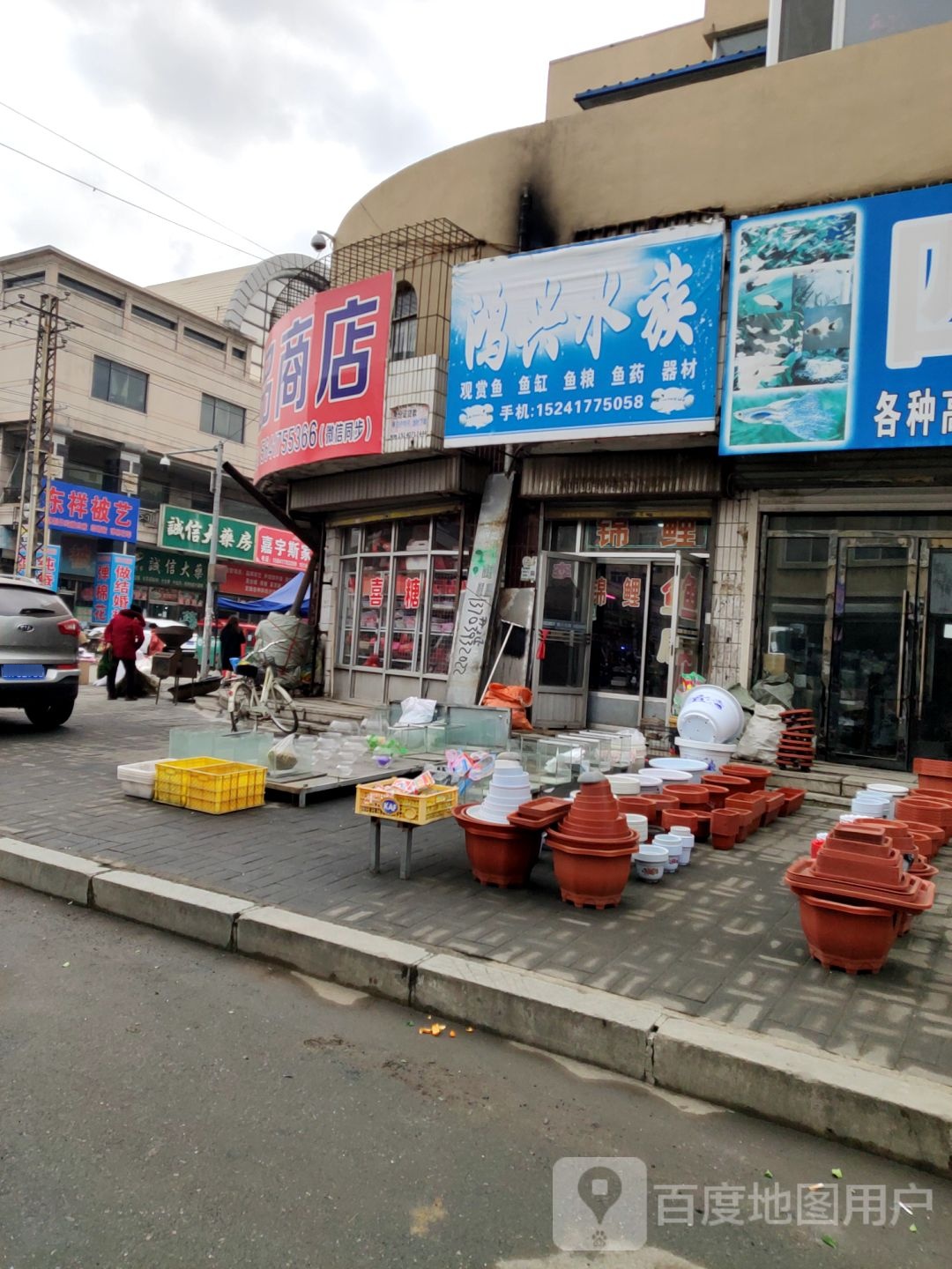 鸿星水族