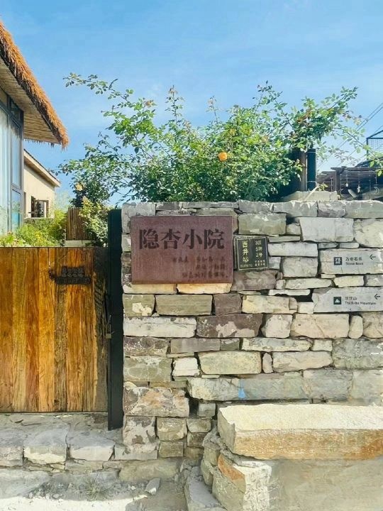 隐杏小院