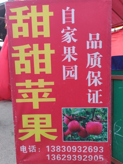 礼县永兴甜甜苹果