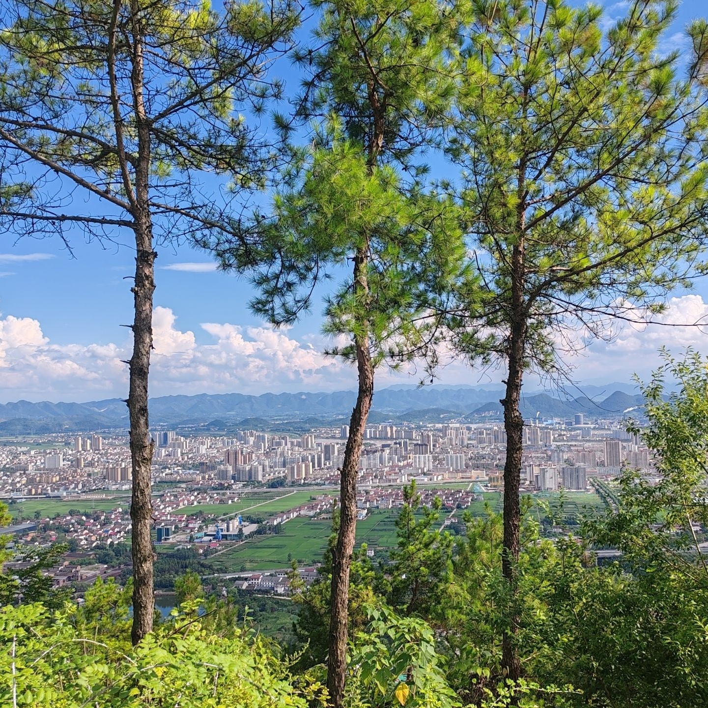 天荡山风景区