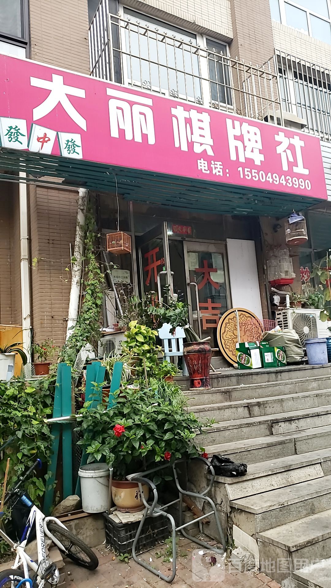 大丽棋牌社